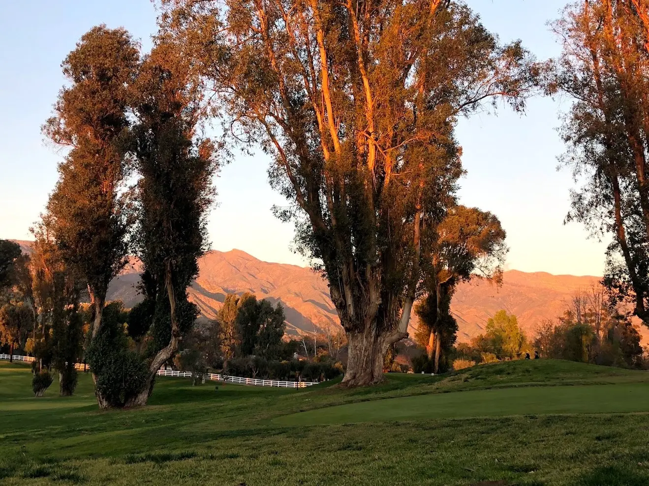 What Happens After You Book ojai valley